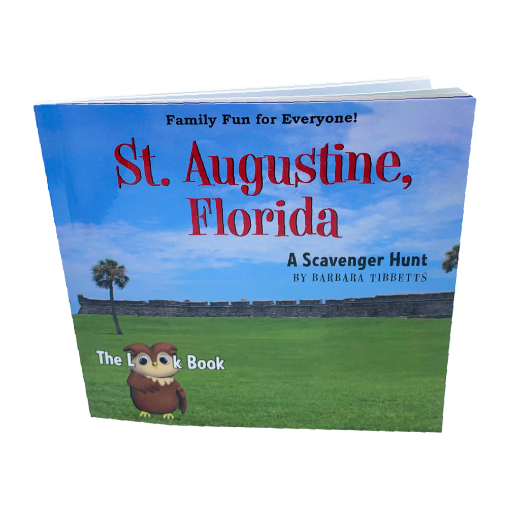 AUTHOR INFO ST AUGUSTINE visual data 7