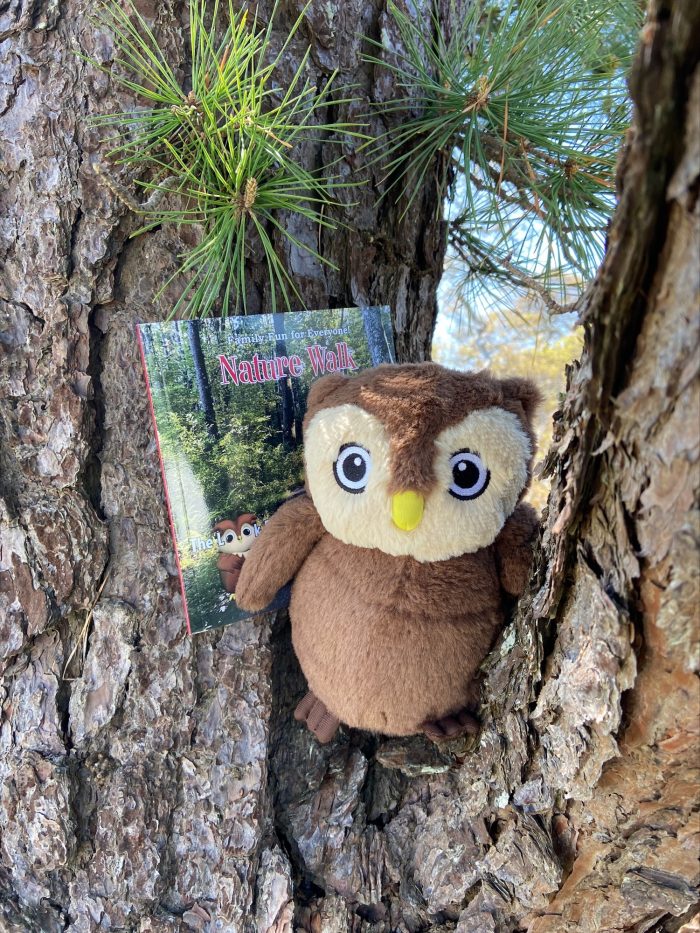 Hunter the Owl with the Nature Walk Book