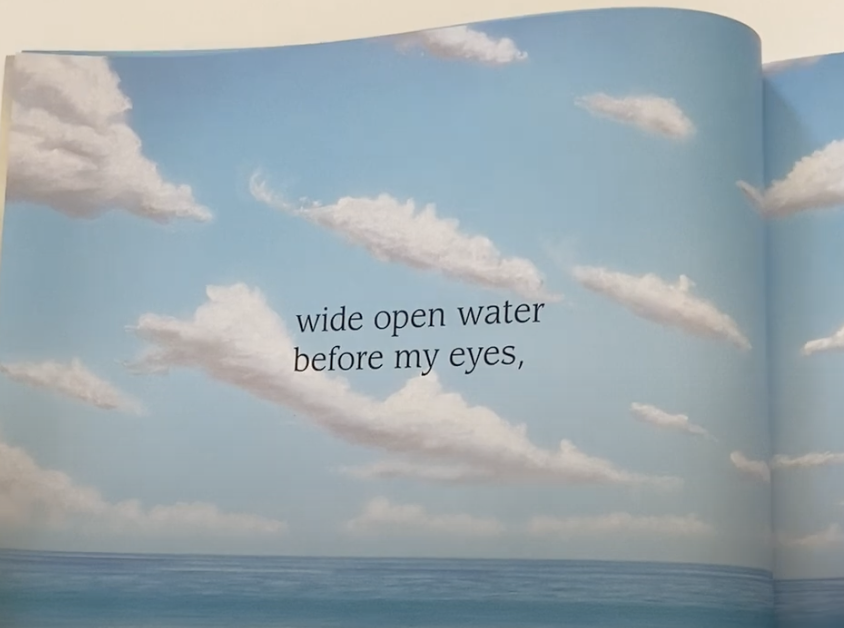 Wide Open Water